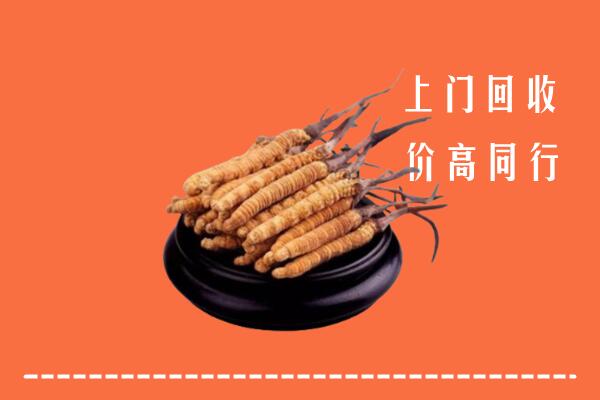 高价求购：景洪市回收散虫草
