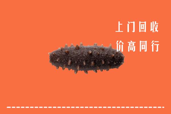高价求购：景洪市回收海参