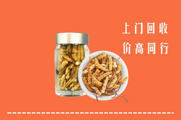 景洪市回收冬虫夏草
